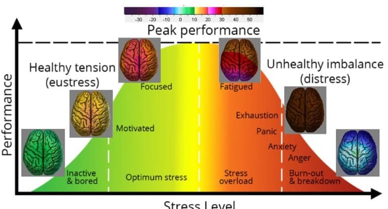 Aparatura & Oprogramowanie Neuro-AMEA